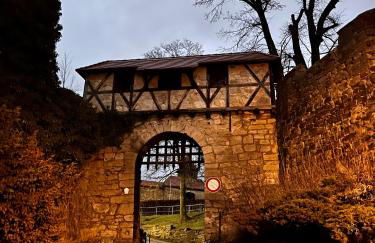 Delux Ferienwohnung Kunstgalerie und Ilmradweg - Photo 63