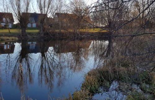 Villa Pepita - Foto 17