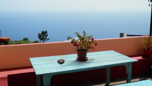 Au petit Madère - Photo 3