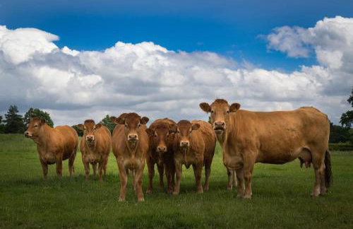 Coach House - detached cottage within 135 acres - Foto 37