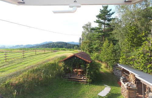 Ferienwohnung am Dachsberg, Bayerischer Wald - Foto 23