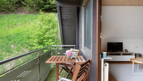 Ferienwohnung Glashütte - Foto 2