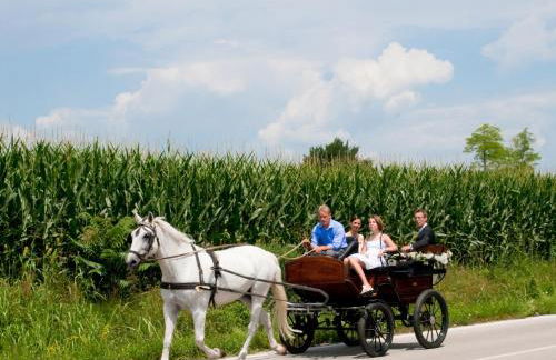 Lataria dei Magredi - Foto 7