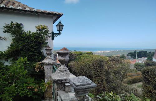 Nice Quinta in the florest of sintra - Photo 15