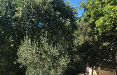 L'Olivier Fleurie Barjols - Foto 67