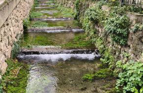 La Guijarroseña , Rio Madera - Foto 23