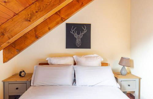 Family Attic Esterri - Photo 25