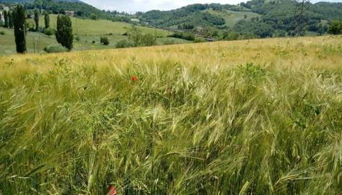 Casa Vacanze Campo d'Arco - Foto 3