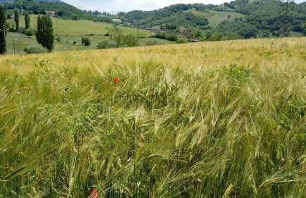 Casa Vacanze Campo d'Arco - Foto 3