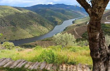 Casa do Vale Encantado - Foto 20