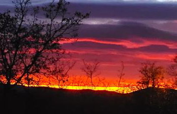 Villa Tilia - Photo 33