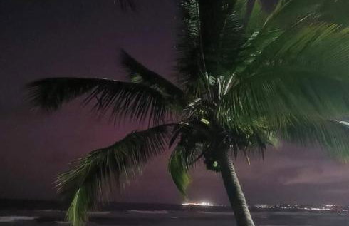 Meu Cantinho - Foto 61