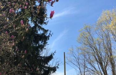 20 min Woodbury Outlet & USMA 35 min Mt Creek - Foto 34