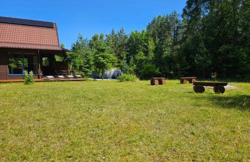 Leśne Wspomnienia - Foto 7