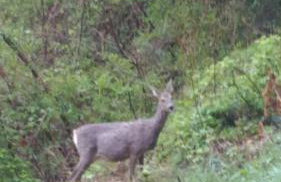 Baita Figliezzi - Foto 43