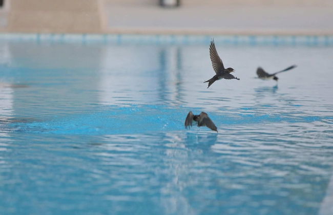 Villa in Starigrad With Heated Pool - Foto 32