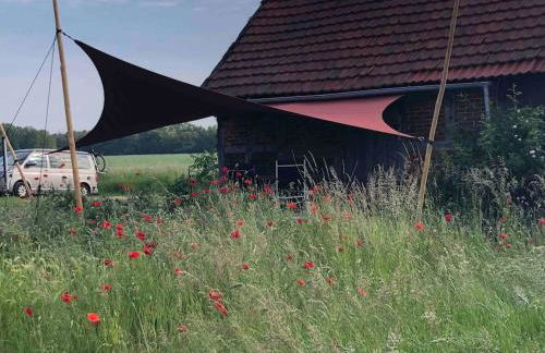 Haus an Fluss und See - Foto 43