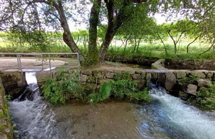 Orion Guest Villa Casais - Foto 53