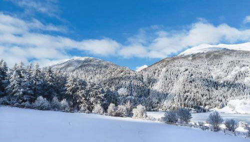 Mein Sonnenhof - Foto 3