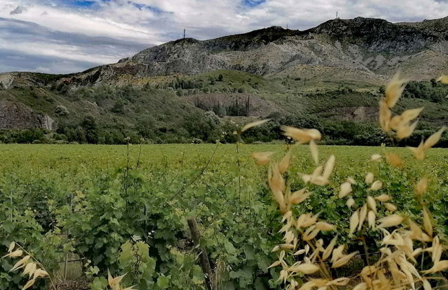 Tour in Thuir - Photo 1