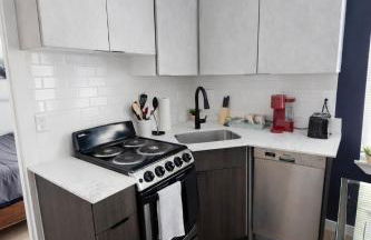 Dwntwn Detroit Wlk to DMC Arena WSU FordField - Photo 7