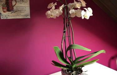 En busca del viento del norte - Foto 14