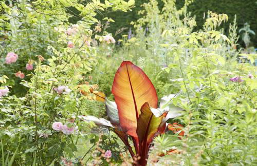 The Old Cheese Press, Eckington - Foto 36