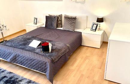 VILLA SUNSHINE "SUNSHINE SUITE" NAD JEZIOREM KOMINEK i WANNA w SALONIE OGRóD BALKON - Foto 6