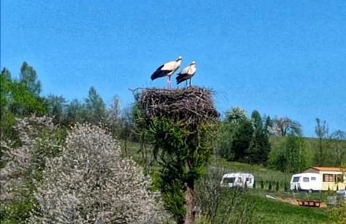 Domki Nad Bocianim Gniazdem - Foto 13