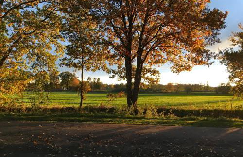 Harmonie Tiny House - Photo 3