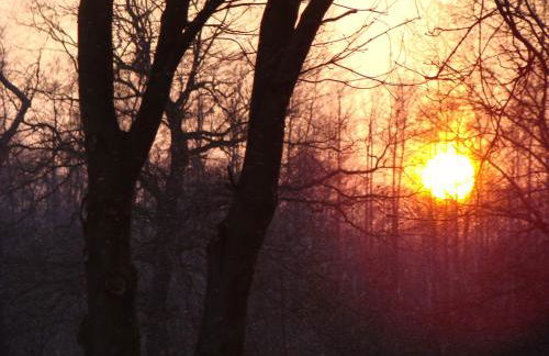 Spreewaldferienwohnungen - Foto 34