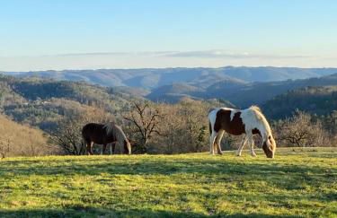 Gîte Maison Maitri - Foto 25