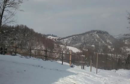 Il Gelso Rosso - Foto 9