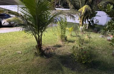 Pérola da Amazônia AP Aconchegante, Vista Floresta - Photo 16