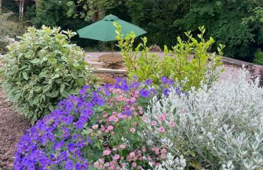 Woodside Shepherd Hut with free parking - Hawsker near whitby - Foto 17