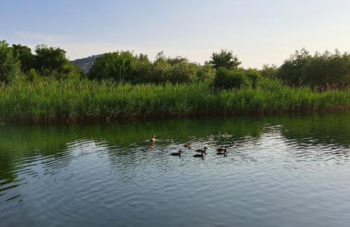 Apartmani Mostina near river - Photo 33