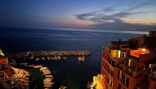 Pepita di Rio - Foto 2