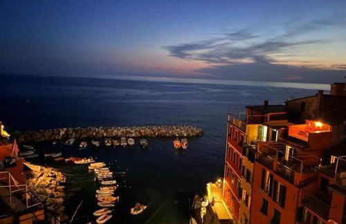 Pepita di Rio - Foto 2