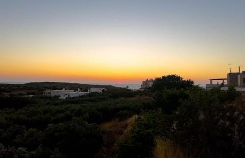 Thea Studio - Foto 14