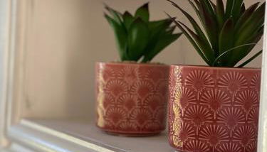 Mitchell Heights - Photo 4