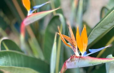 Quinta de Ribas - Foto 64