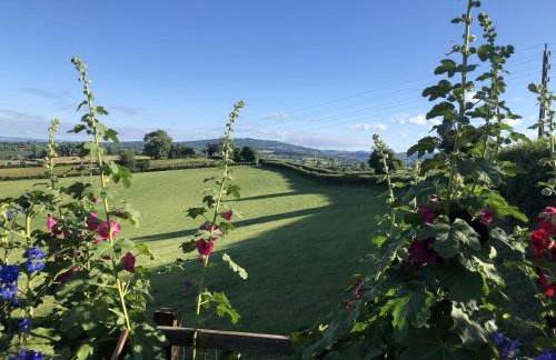 Betula Views - Photo 1