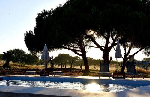 Monte Casa Branca - Foto 56