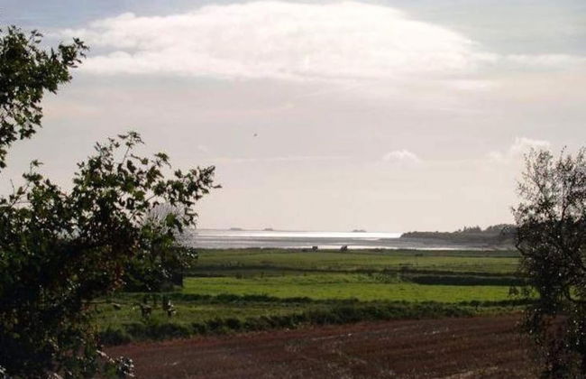 Ferienwohnung in Wyk-boldixum auf Foehr - Foto 9