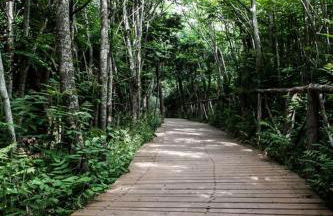 FRENTE AL MAR-Wifi FREE - Foto 34