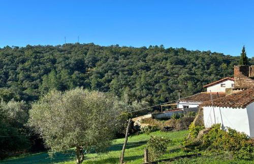 El Castañero Only Adults - Foto 6