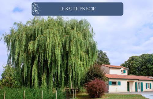 Grand Gîte Le Saule en Scie - 3 étoiles - Spa chauffé, 12 à 14 pers, jardin clos, 30 mn PuyduFou - Foto 36