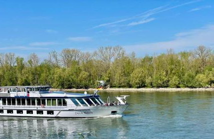 Fewo Rheinblick St Nikolaus Str - Foto 17