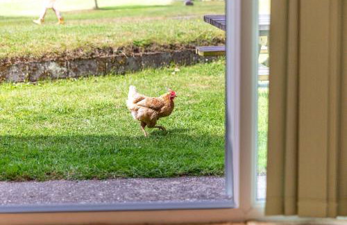 Torridge House Cottages - Foto 15