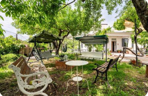 Etna, salvia e rosmarino - Foto 4